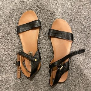 Steve Madden leather sandals